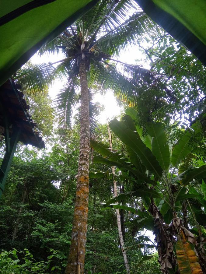 Camping Tropico De Capricornio - Ilhabela Extérieur photo